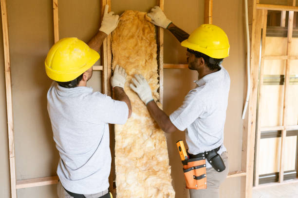 Best Eco-Friendly or Green Insulation Solutions in Lake Darby, OH