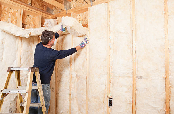 Best Attic Insulation Installation in Lake Darby, OH